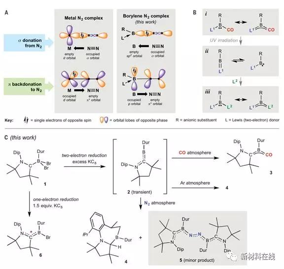 1519696451764635.jpg 4.jpg