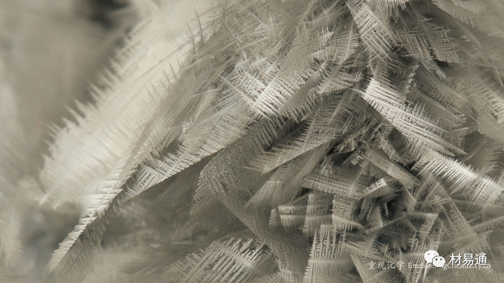 1529460037695387.jpg 2.jpg