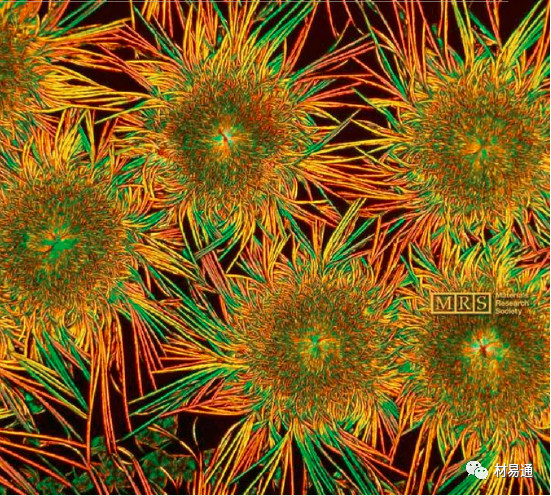 1529460127978746.jpg 10.jpg